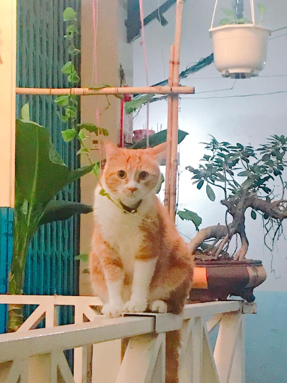 Qcub1 Homestay Ho Chi Minh-staden Exteriör bild